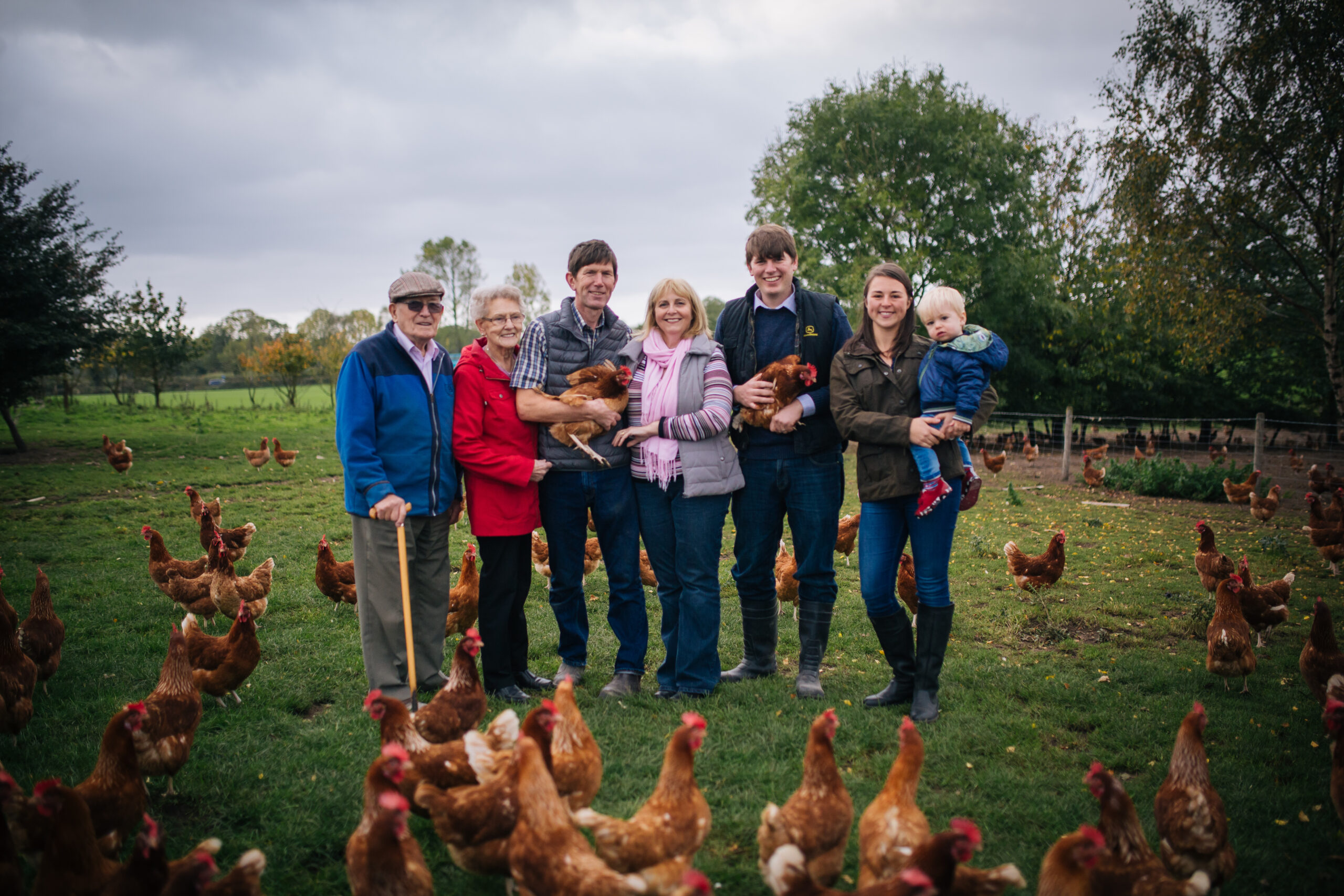 Pace Farms Eggs