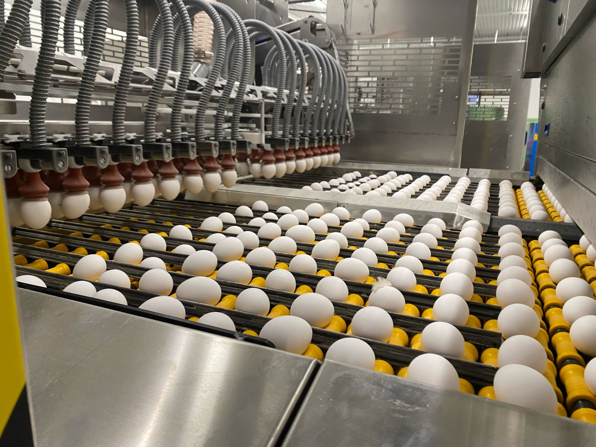 Installation of Moba Systems at Kieku Oy in Finland