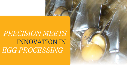 Driving Innovation in Egg Breaking and Processing