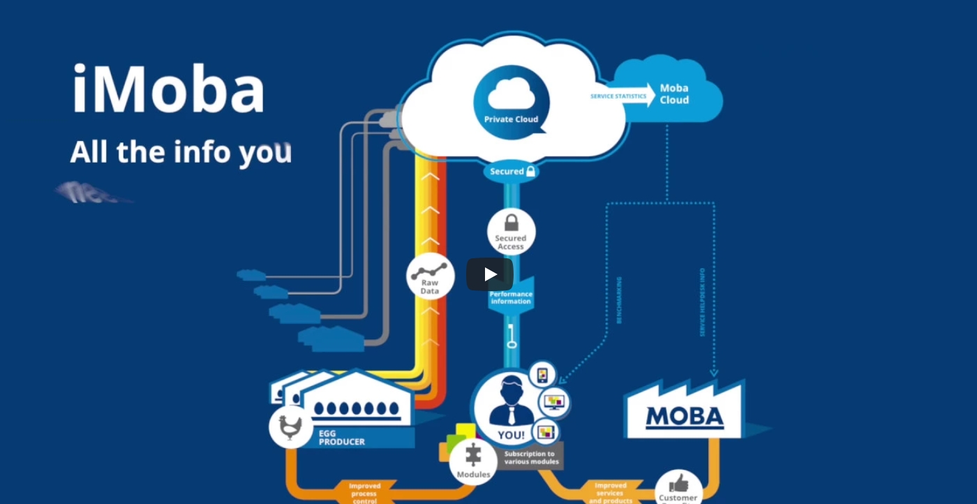 Unlock Peak Efficiency with iMoba Performance Pro