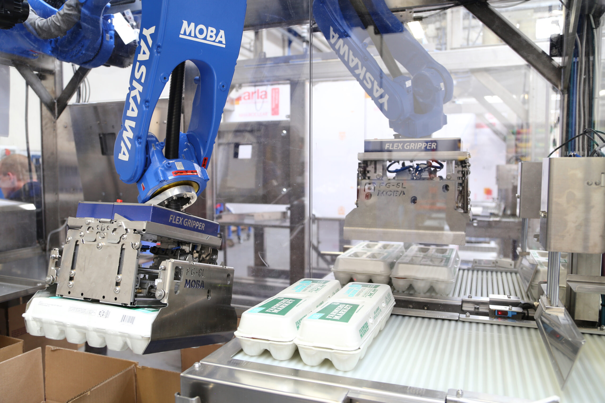 Moba's Egg Grading Machines are Making the Egg Industry Smarter, More Efficient, and More Sustainable